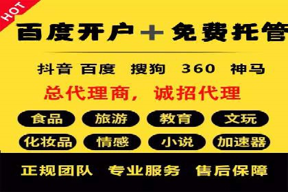 企业SEM托管代运营实战案例